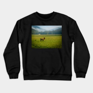 Elk in the Valley Crewneck Sweatshirt